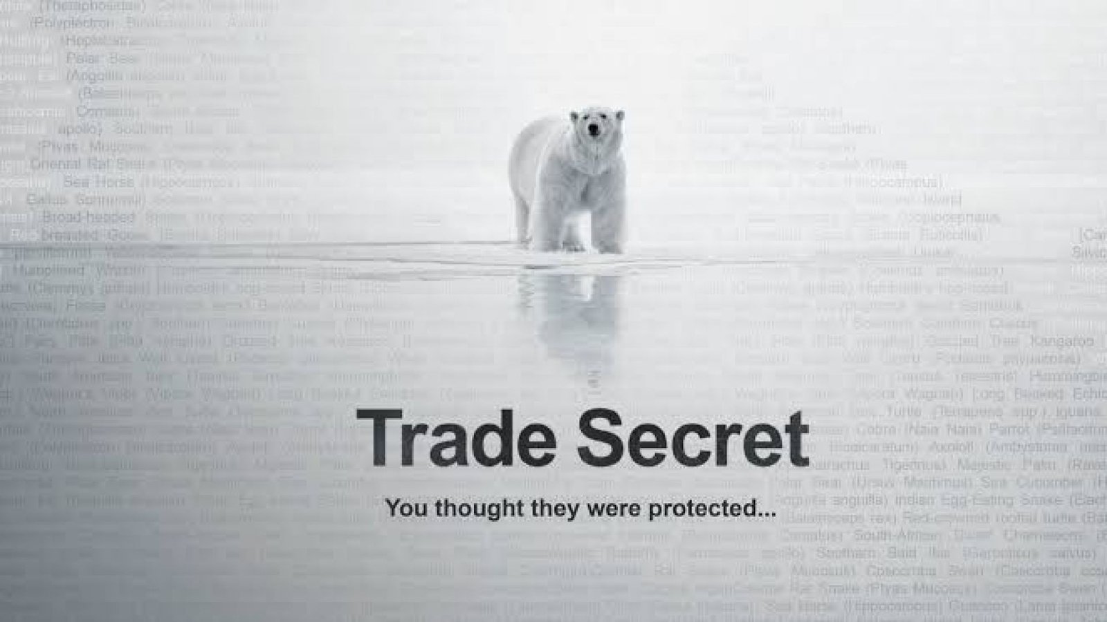 Trade Secret