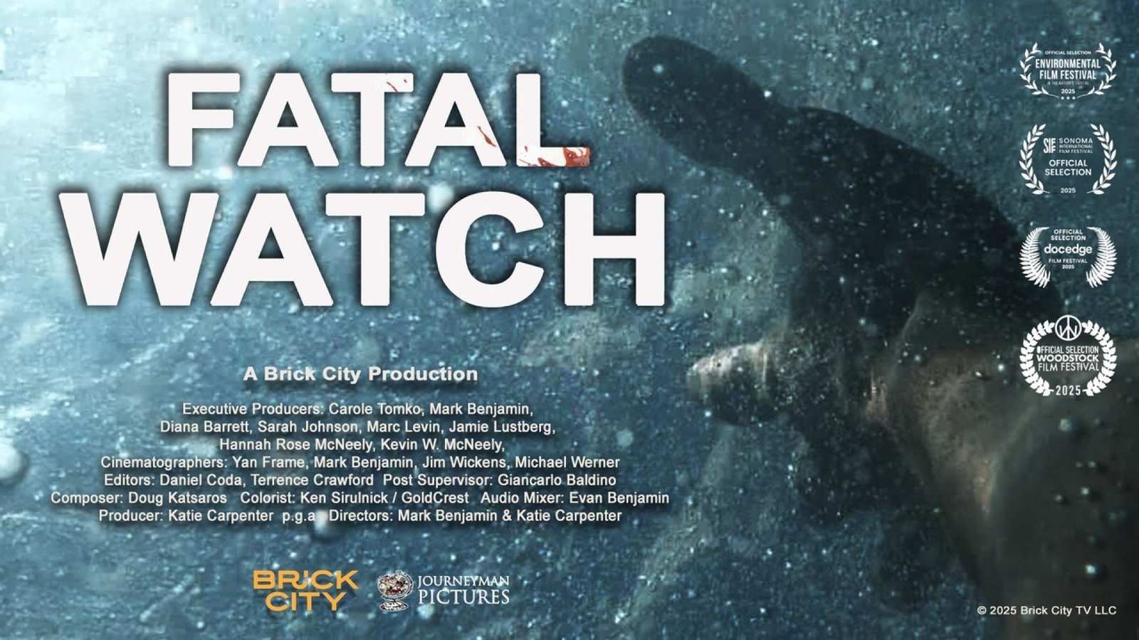 ⁣Fatal Watch