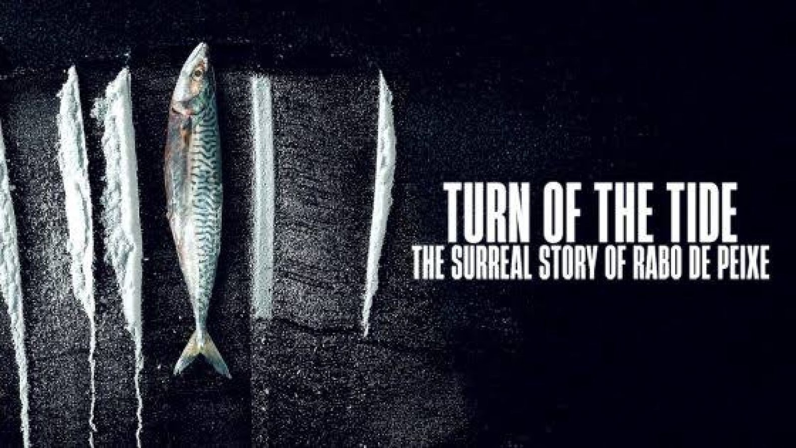 ⁣Misteri Kokain Terdampar dalam Turn of the Tide: The Surreal Story of Rabo de Peixe