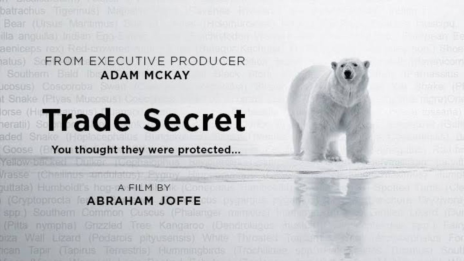 Trade Secret