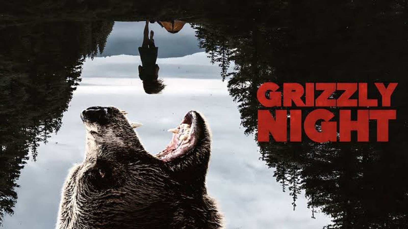 ⁣Grizzly Night | Tonton atau download film - film pilihan