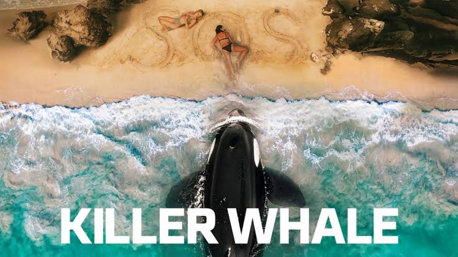 ⁣Killer Whale | Tonton atau download film - film pilihan
