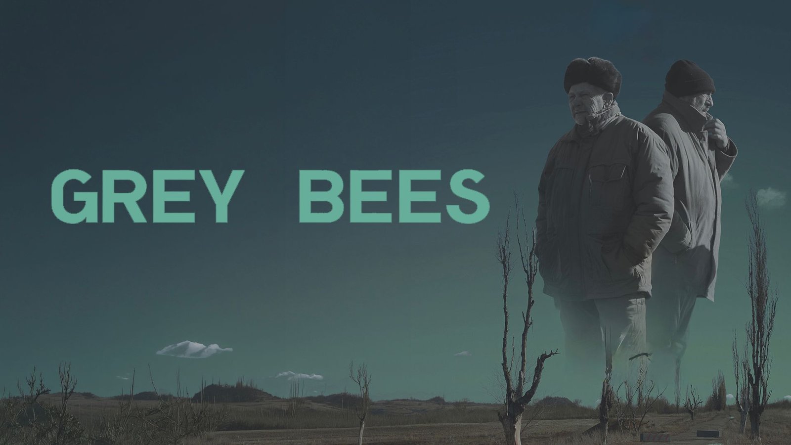 Grey Bees
