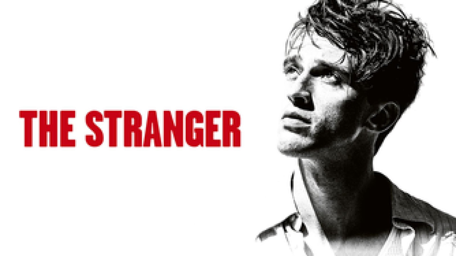 ⁣The Stranger
